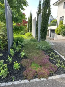Gestaltete Gartenfläche mit verschiedenen Stauden, Bodendeckern und Hecken.