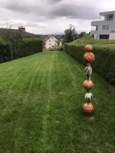 Perfekt geschnittener Rasen mit gepflegtem Garten im Hintergrund.