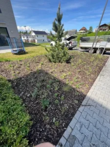 Gartenfläche nach der Neubepflanzung mit wachsenden Pflanzen.