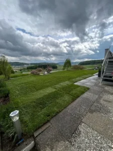 Frisch verlegter Rollrasen mit Aussicht auf eine idyllische Landschaft.